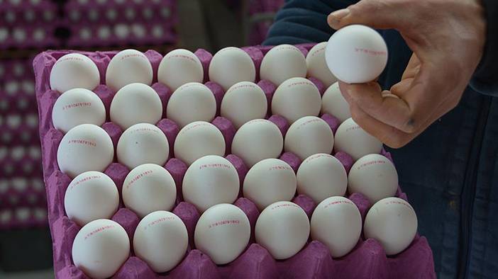 Bakteri yuvasına dönüştürüyor: Yumurtaları aman böyle koymayın! 1